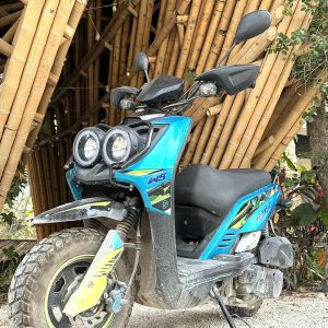 WS150 Sport – Built Tough for Tulum
