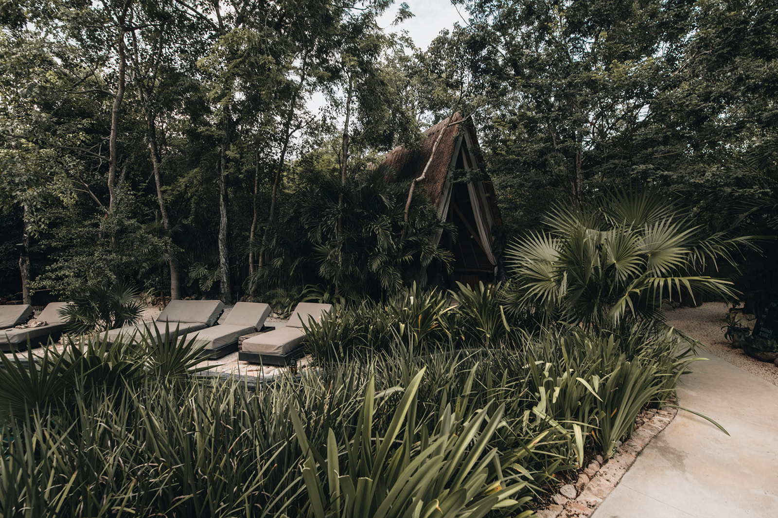 Bardo Hotel - A Journey into the Unknown gallery 3