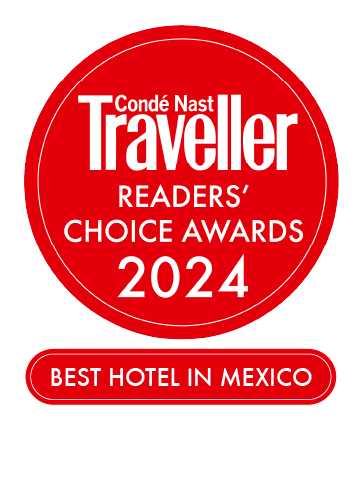 Papaya Playa Project gallery 2