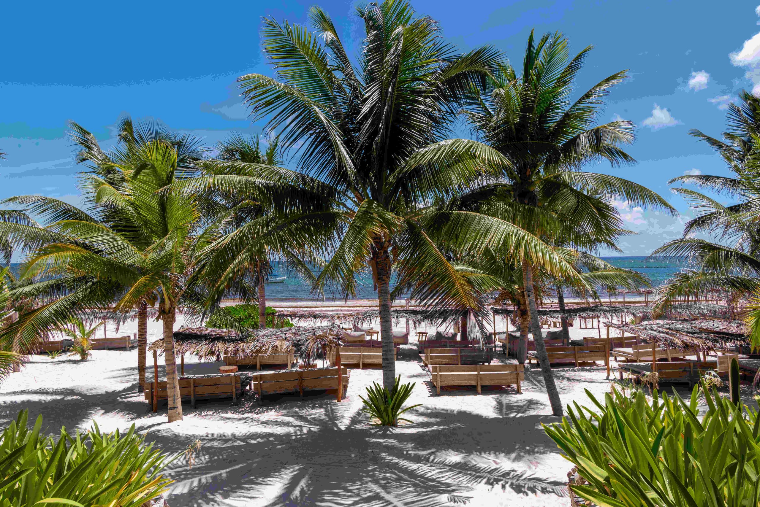 Alito Tulum Beach Hotel, your best stay in Tulum - Official Website gallery 7