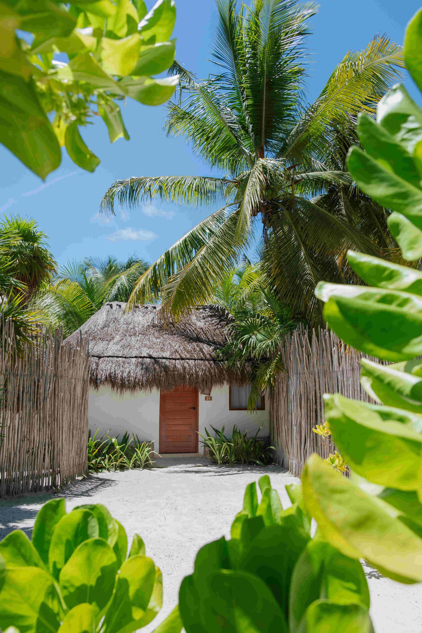 Alito Tulum Beach Hotel, your best stay in Tulum - Official Website gallery 3