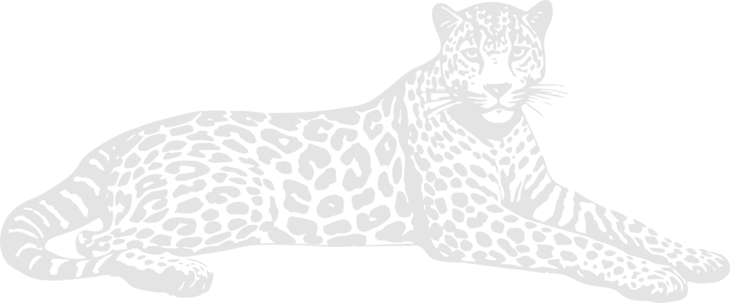 Alito Tulum Beach Hotel, your best stay in Tulum - Official Website gallery 9