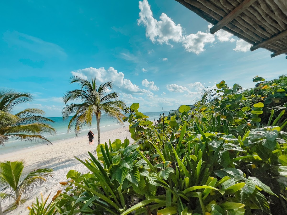 Pocna Tulum Hotel gallery 5