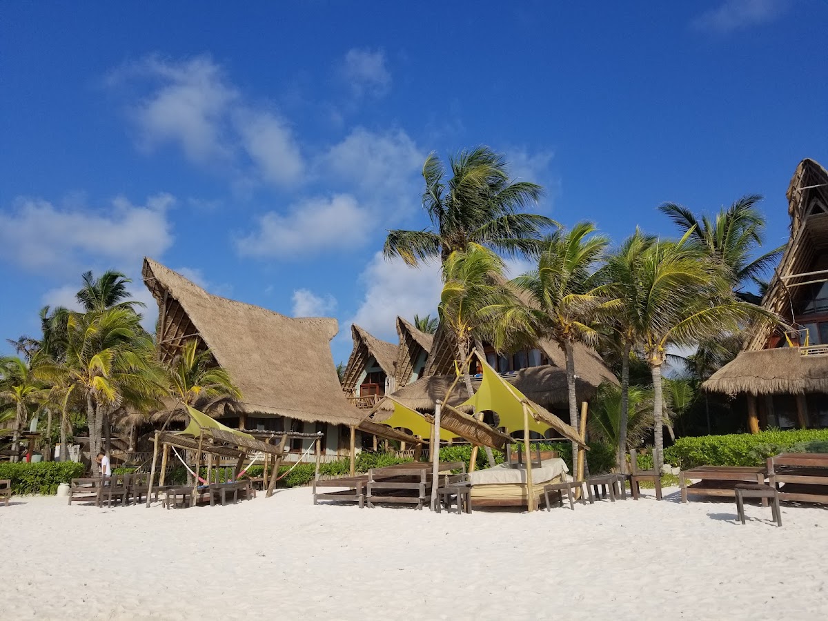 Alaya Tulum gallery 10