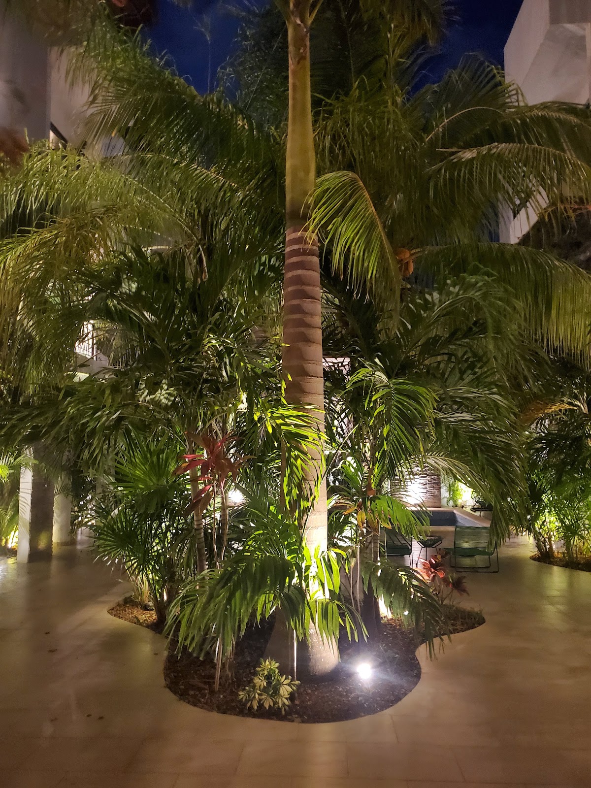 Elements Boutique Hotel Tulum gallery 8