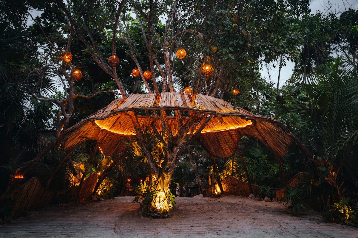 Diamante K gallery 9