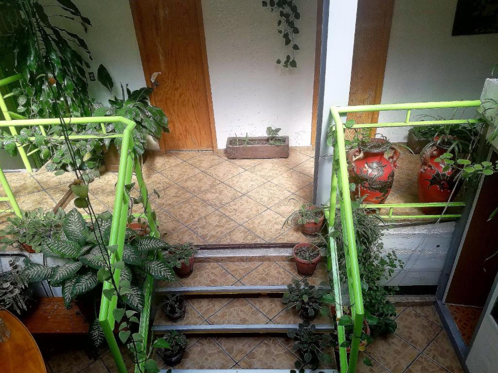 Texturias SanAngel Home gallery 12