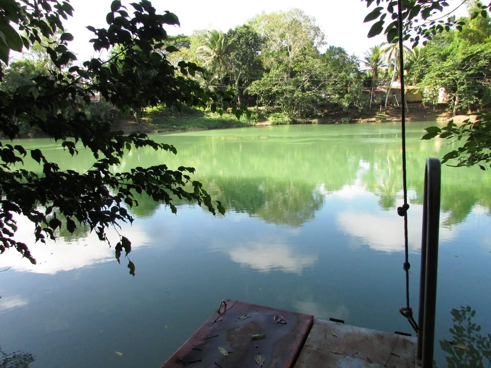Rio Mopan Lodge Hotel cover