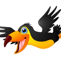 The Flying Toucan logo