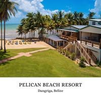 Pelican Beach Resort - Dangriga logo