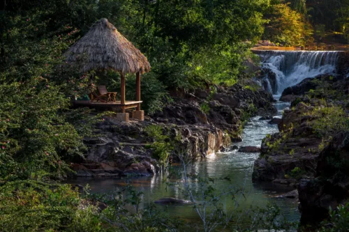 Turtle Inn - A Coppola Hideaway gallery 13