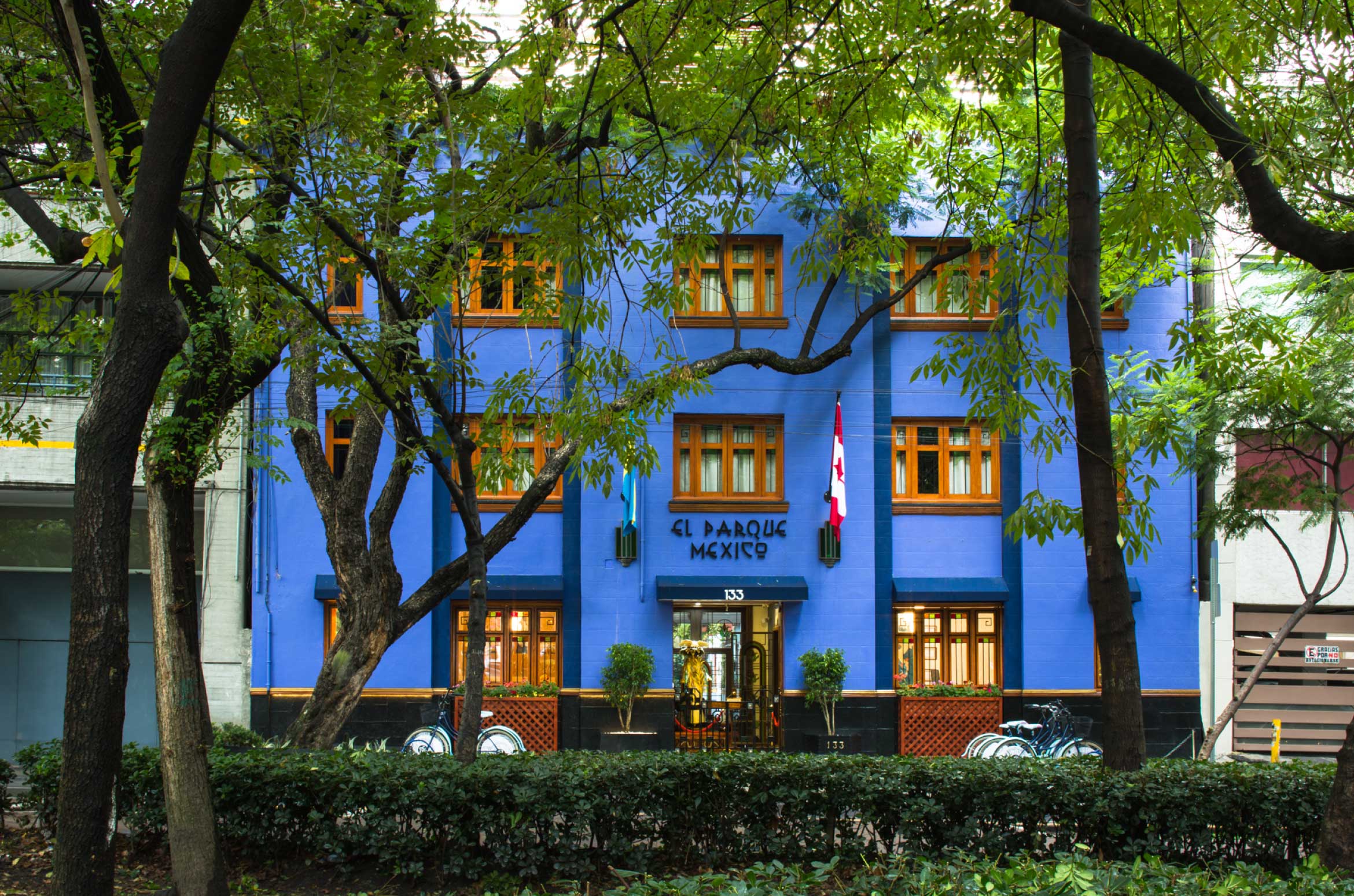 Terraza y Hotel Parque México Boutique gallery 13
