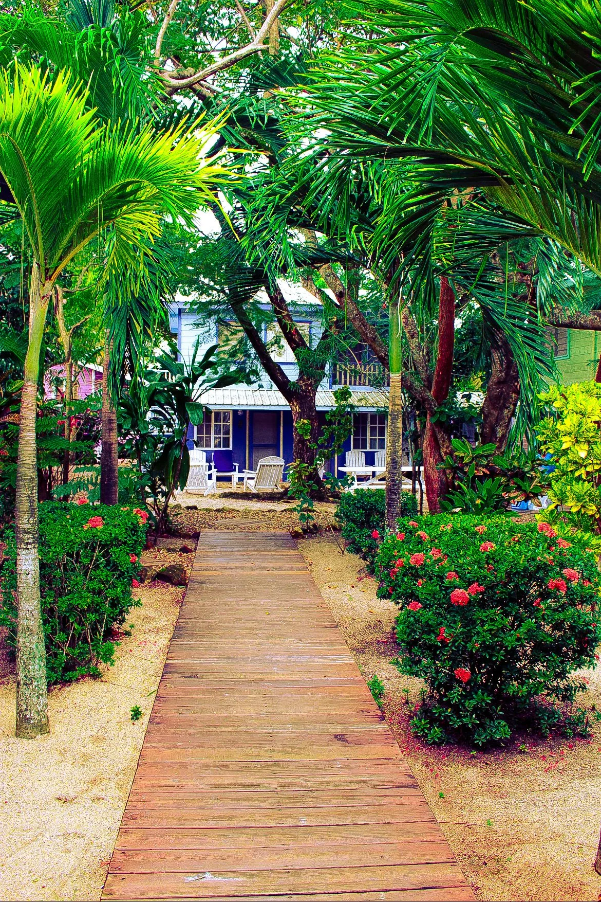 Placencia Villas gallery 13
