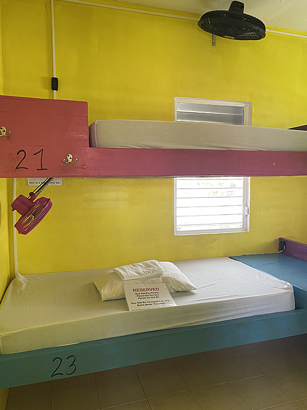 Travellers Palm Backpacker Hostel gallery 12