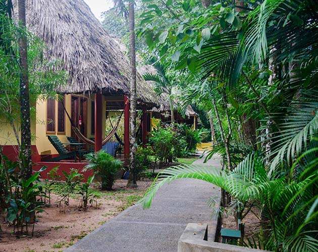 Crystal Paradise Resort gallery 12