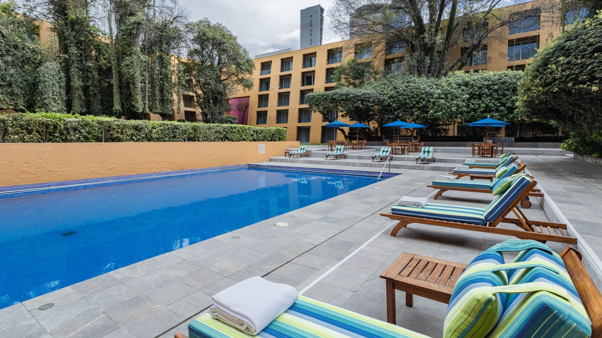 Camino Real Polanco cover
