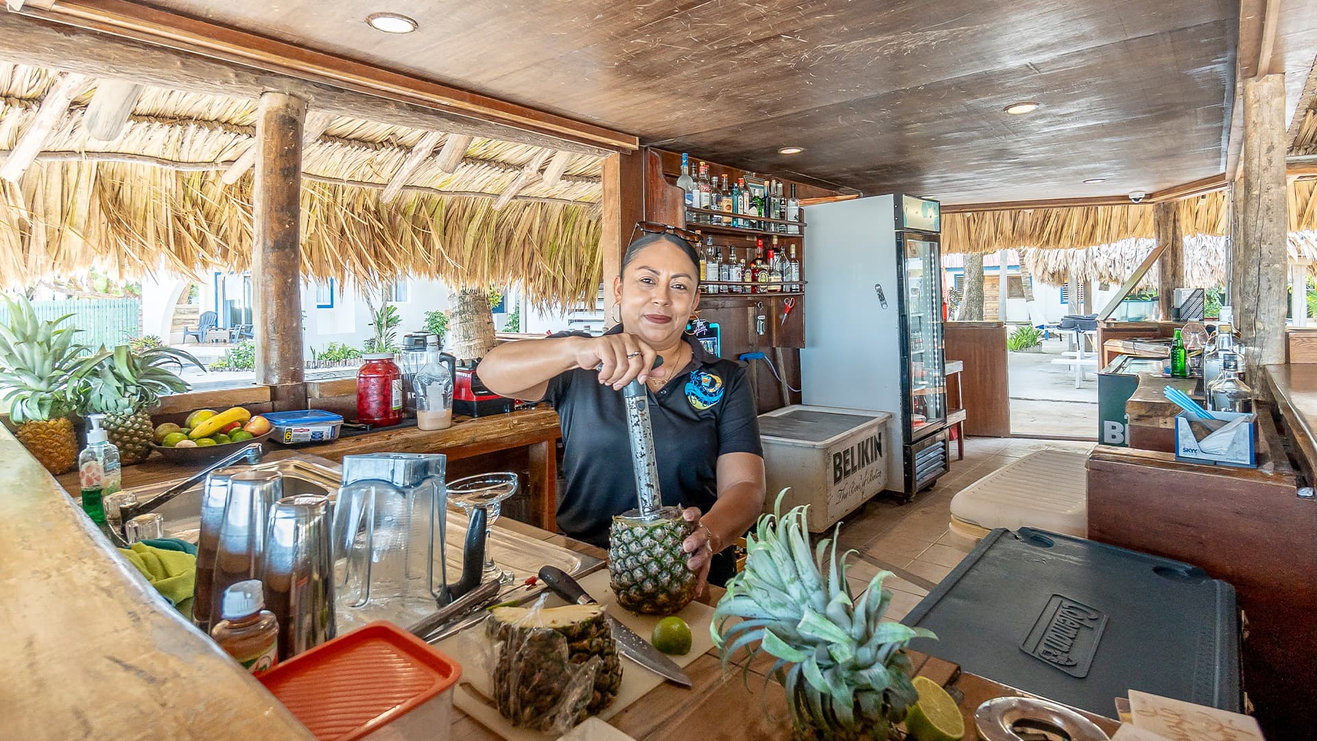 Caribbean Villas Hotel gallery 15