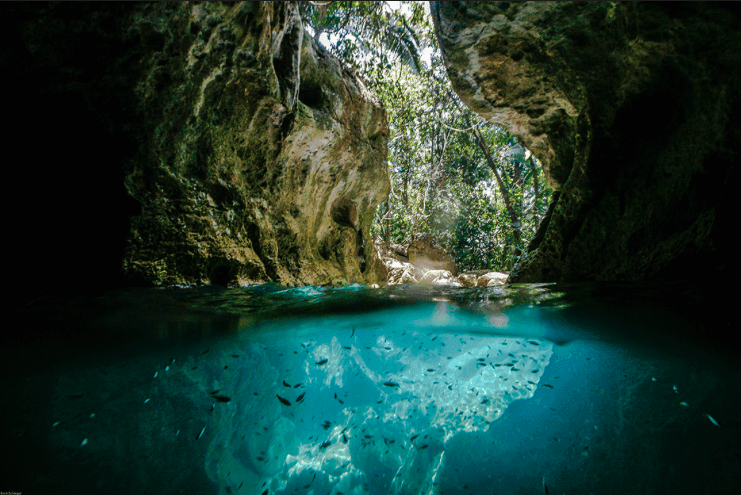 Maya Mountain Lodge gallery 13