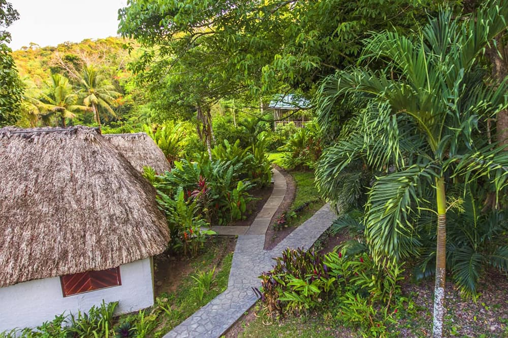 Maya Mountain Lodge gallery 11