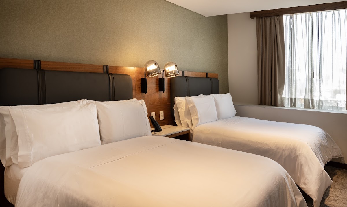 Hilton Garden Inn Mexico City Polanco gallery 2