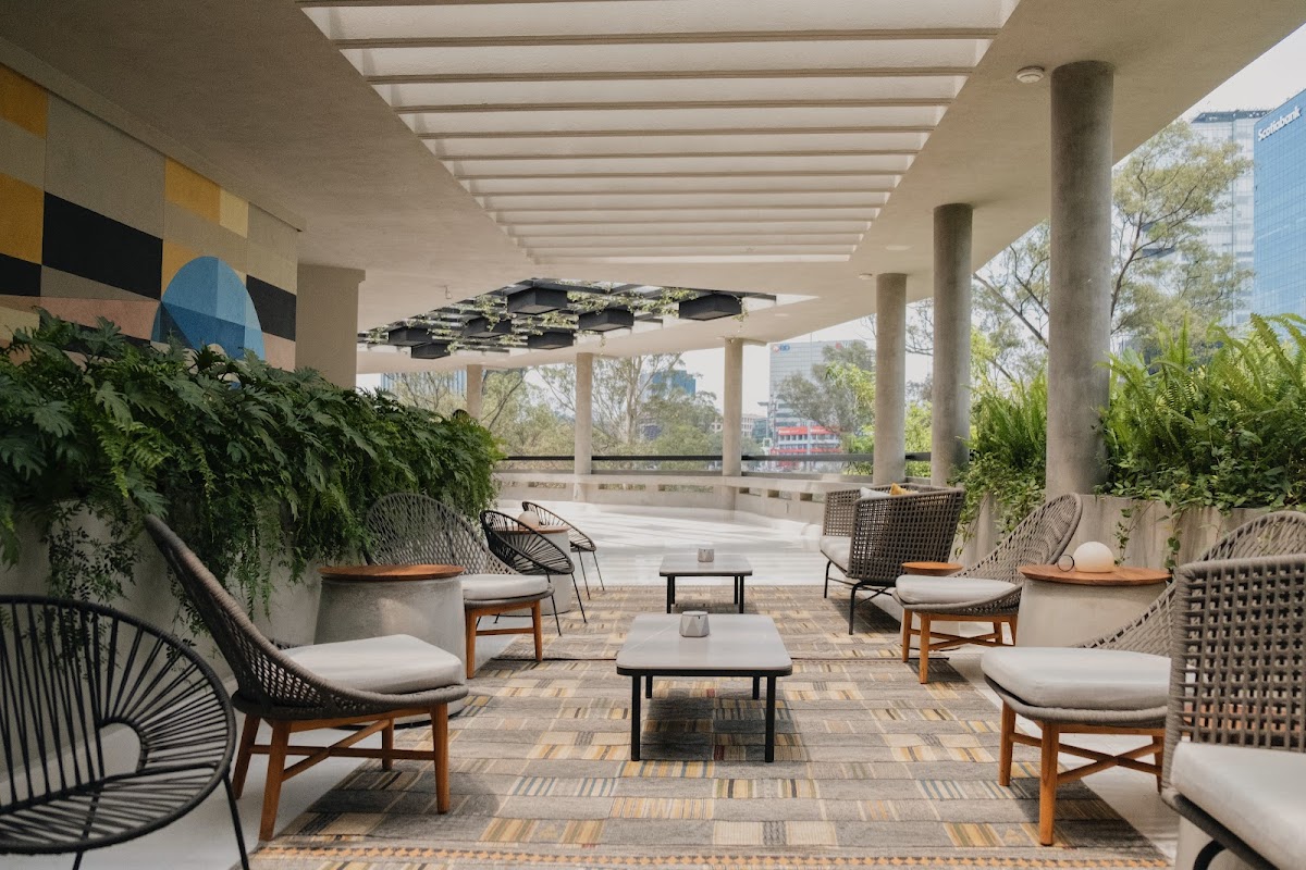 Campos Polanco gallery 6