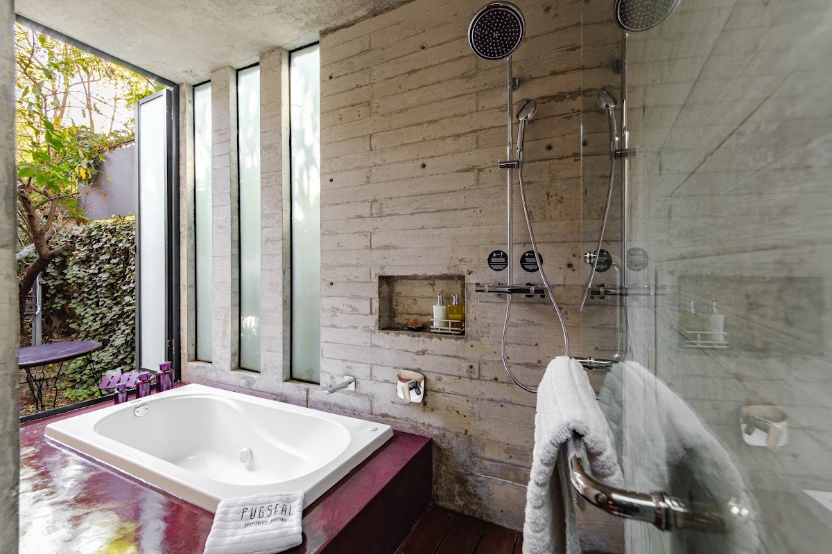 Hotel Pug Seal Polanco Anatole France gallery 4