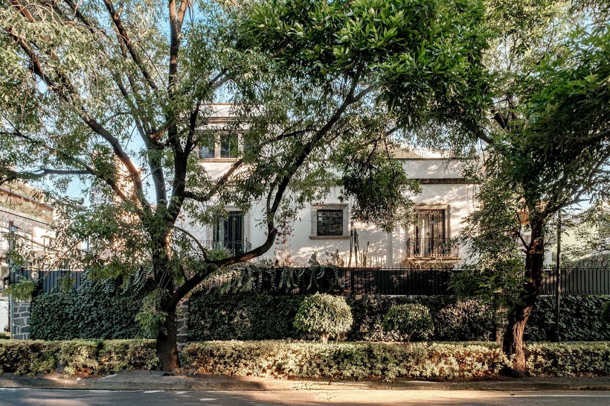 Hotel Pug Seal Polanco Anatole France gallery 6