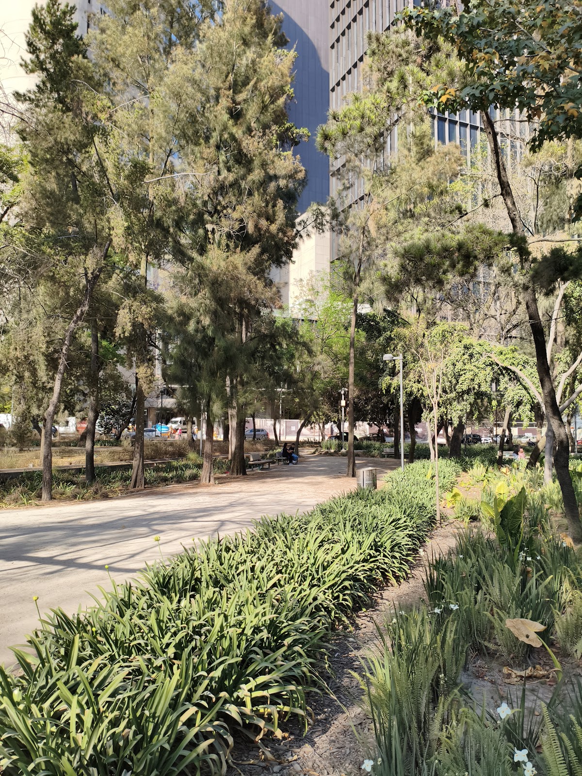 Campos Eliseos gallery 2