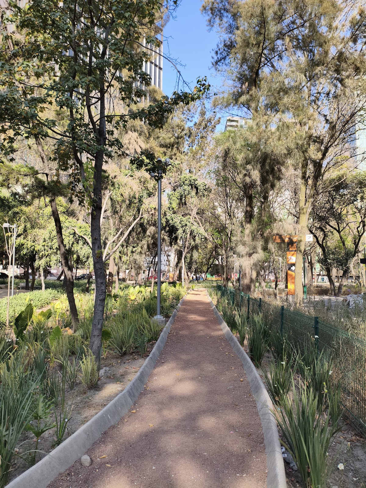Campos Eliseos gallery 3