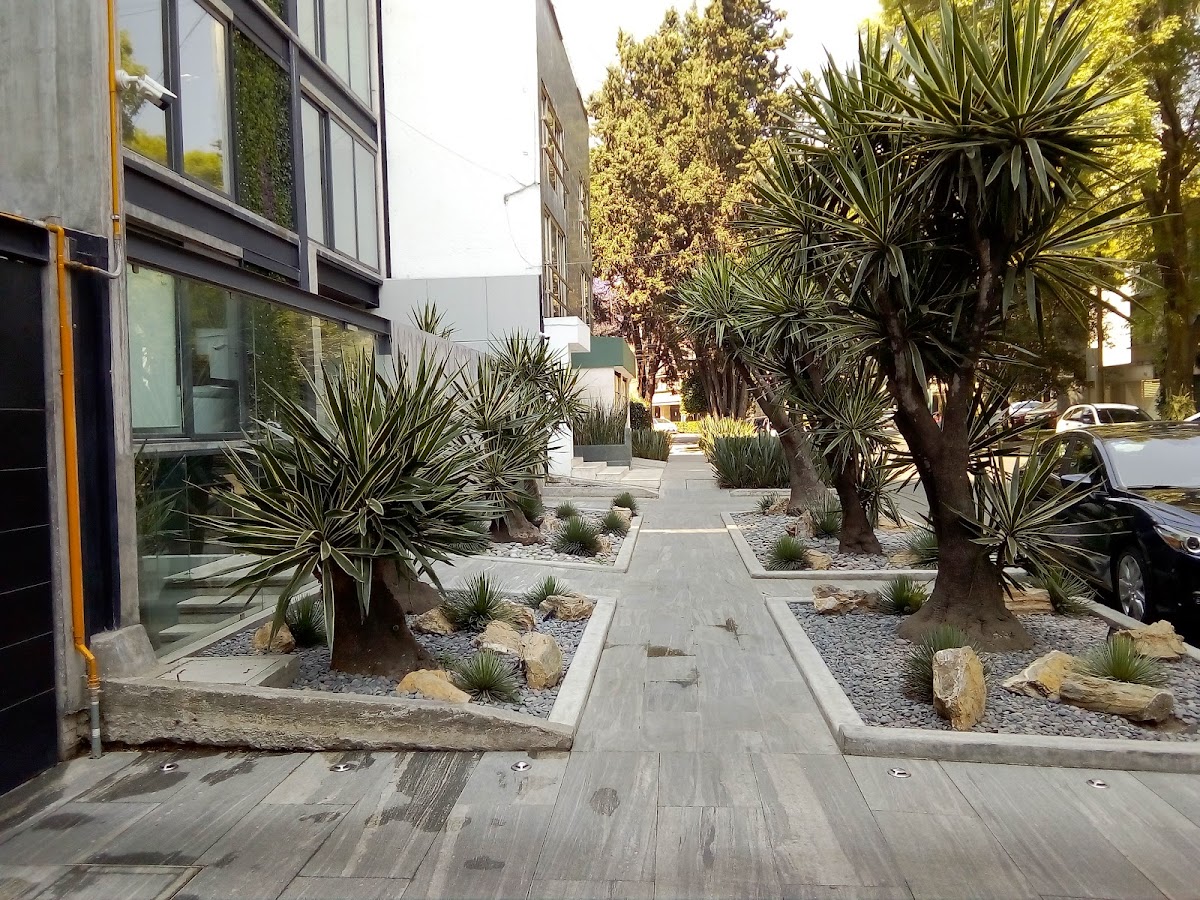 Campos Eliseos gallery 5