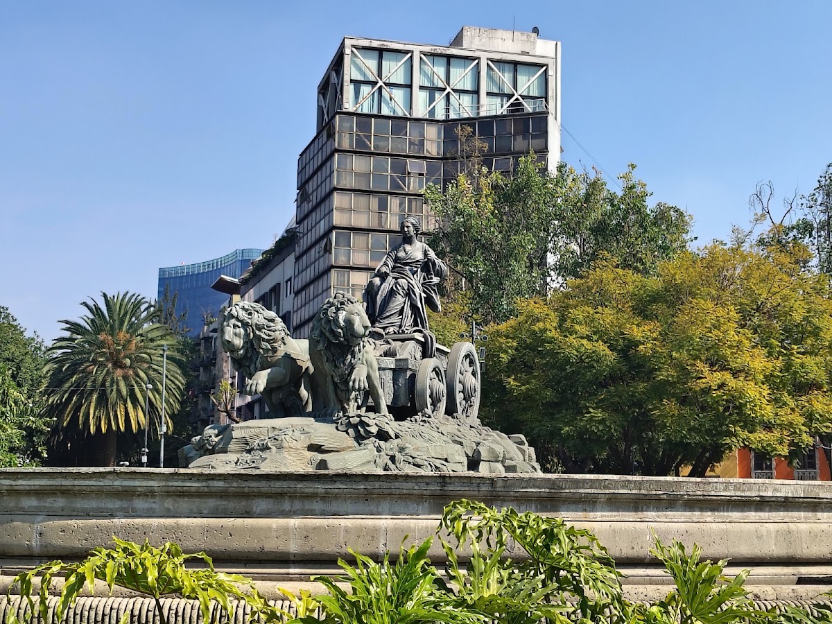 Ciudad de México gallery 7
