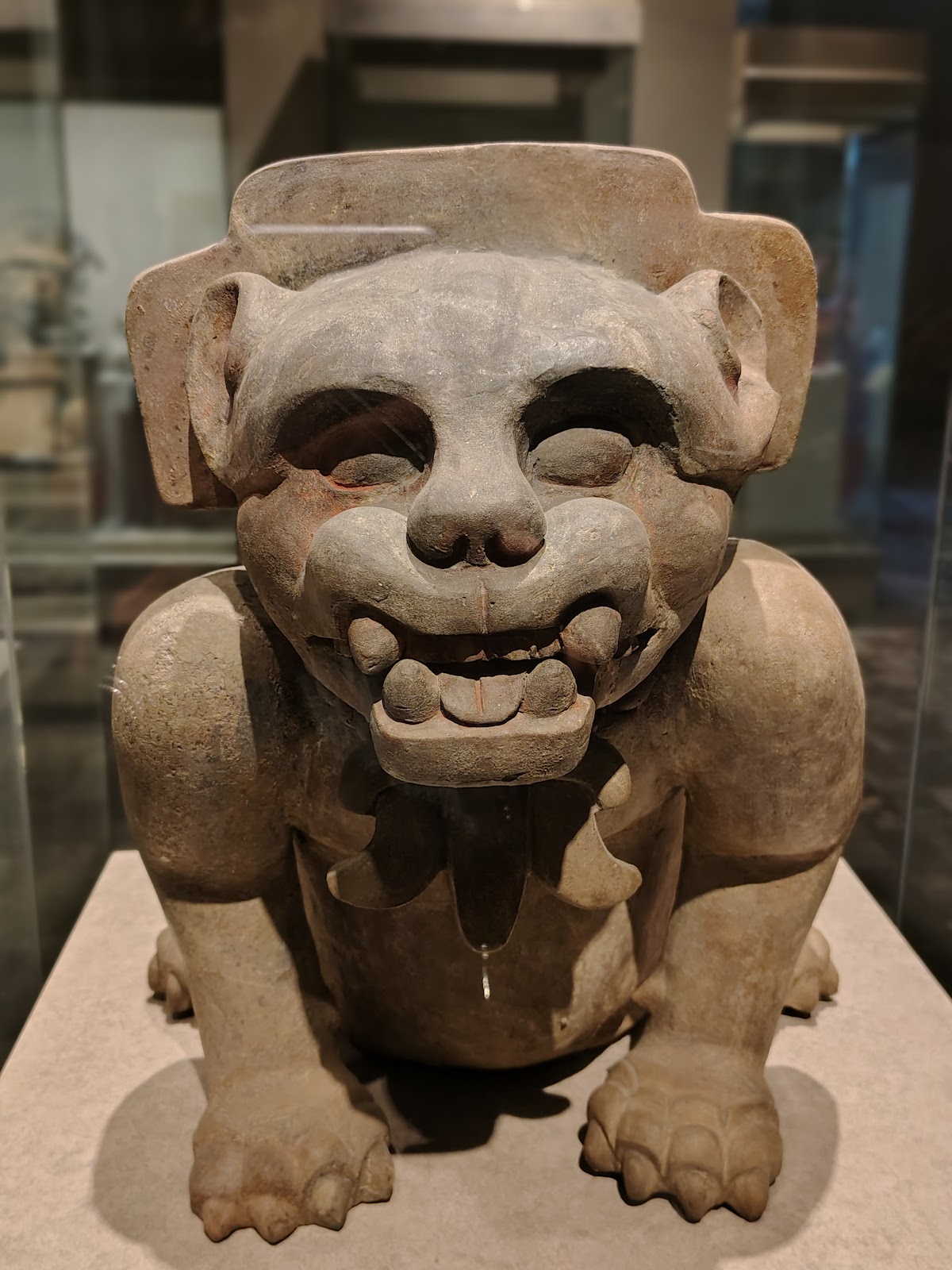 Ciudad de México gallery 9