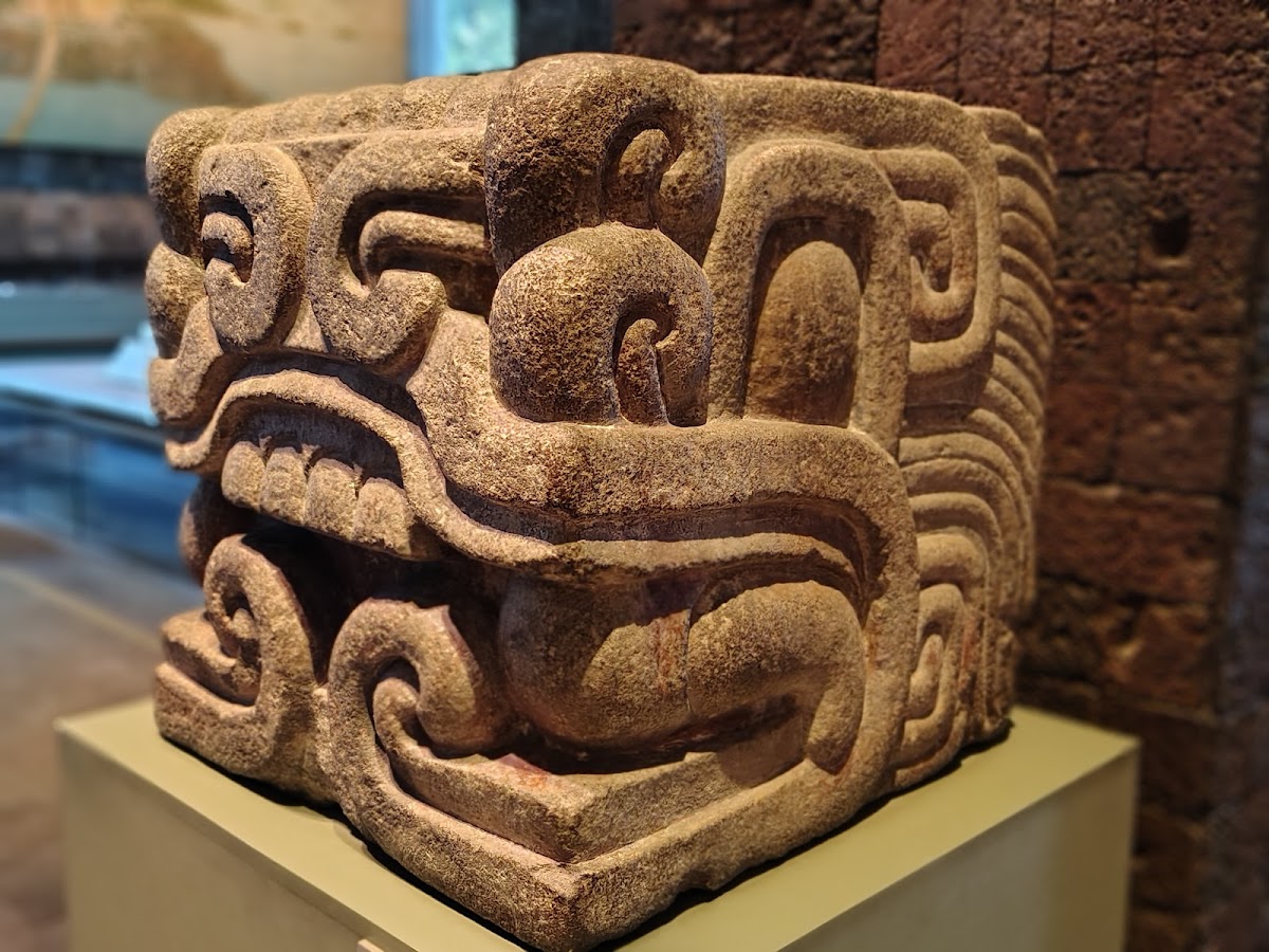 Ciudad de México gallery 10