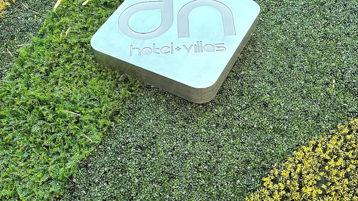 Hotel DN gallery 7