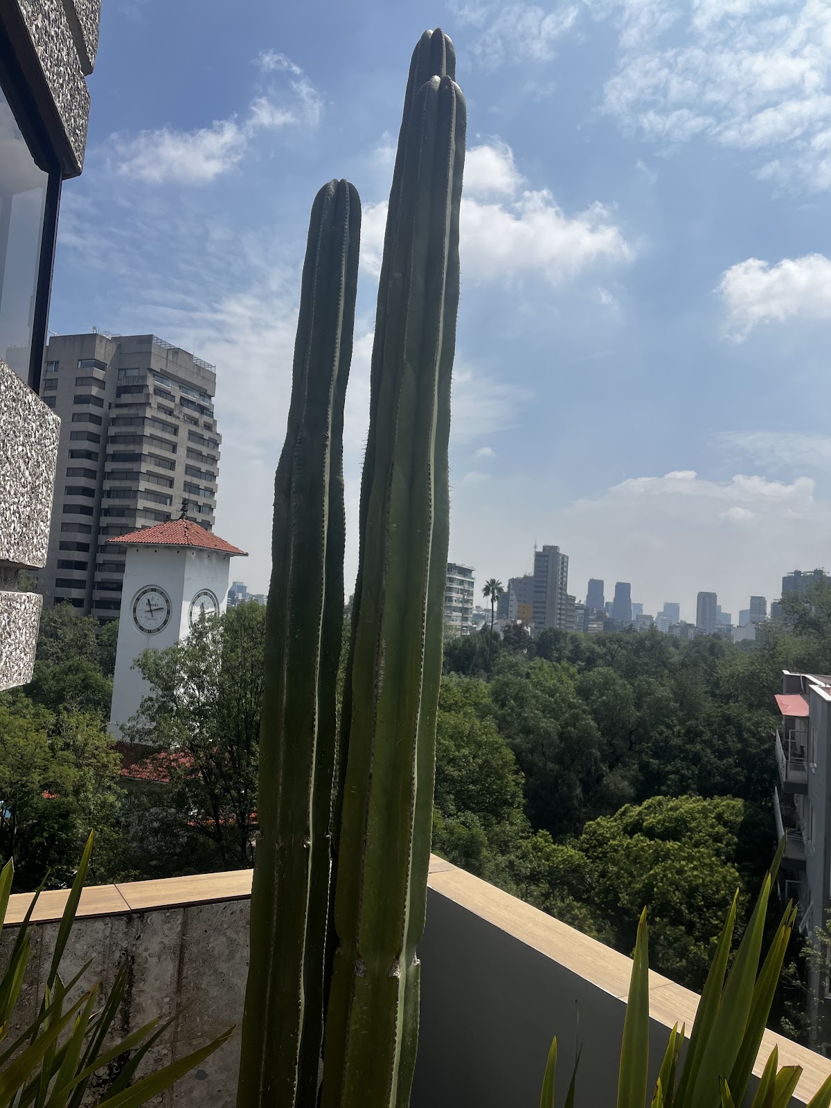 RentinBA - Lincoln Square Polanco cover