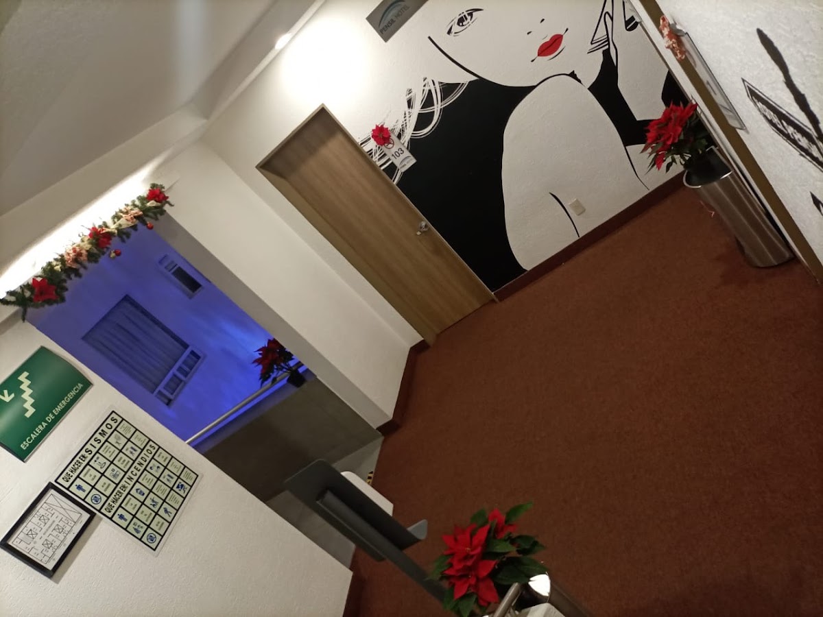 HOTEL PENSIL gallery 10