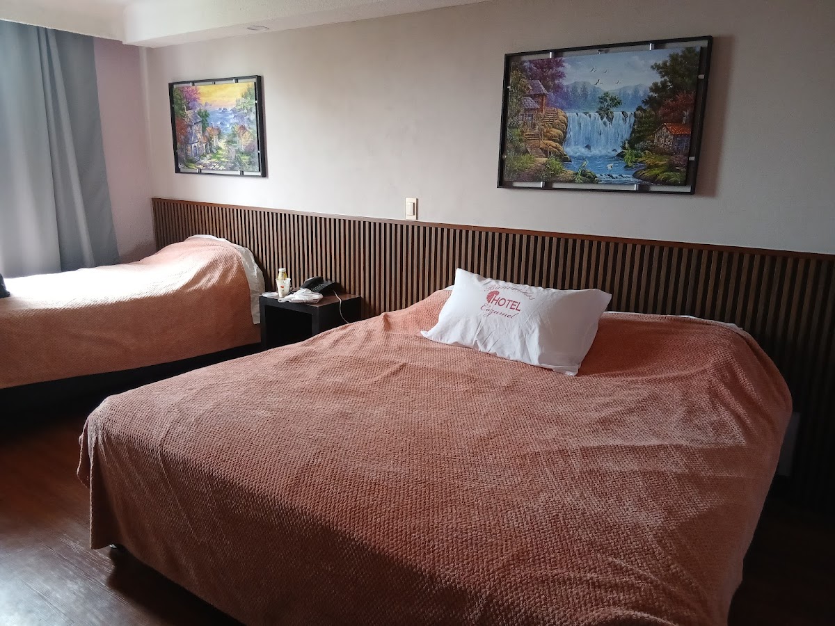 Hotel Cozumel gallery 2