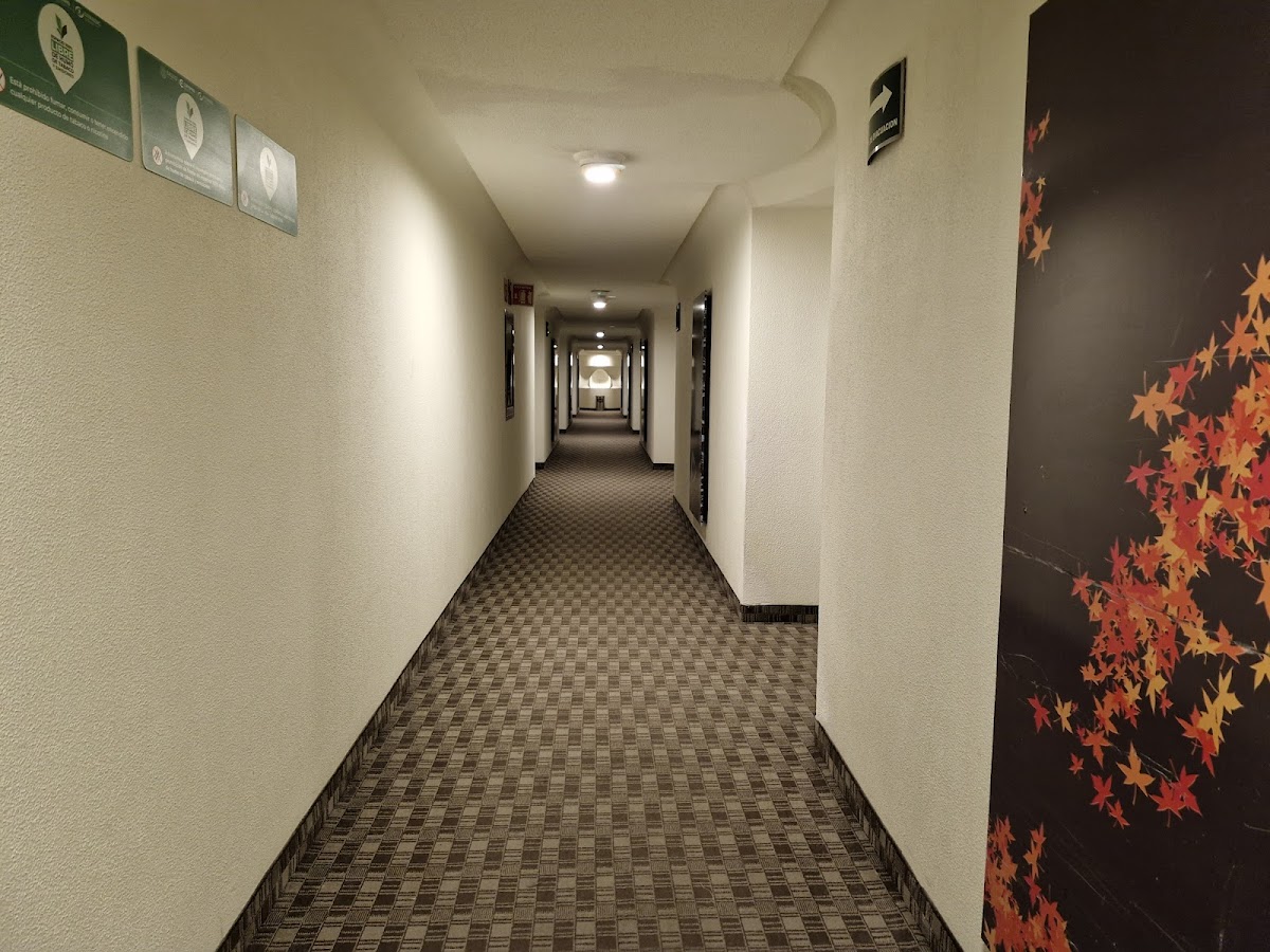 Hotel Amazonas gallery 3