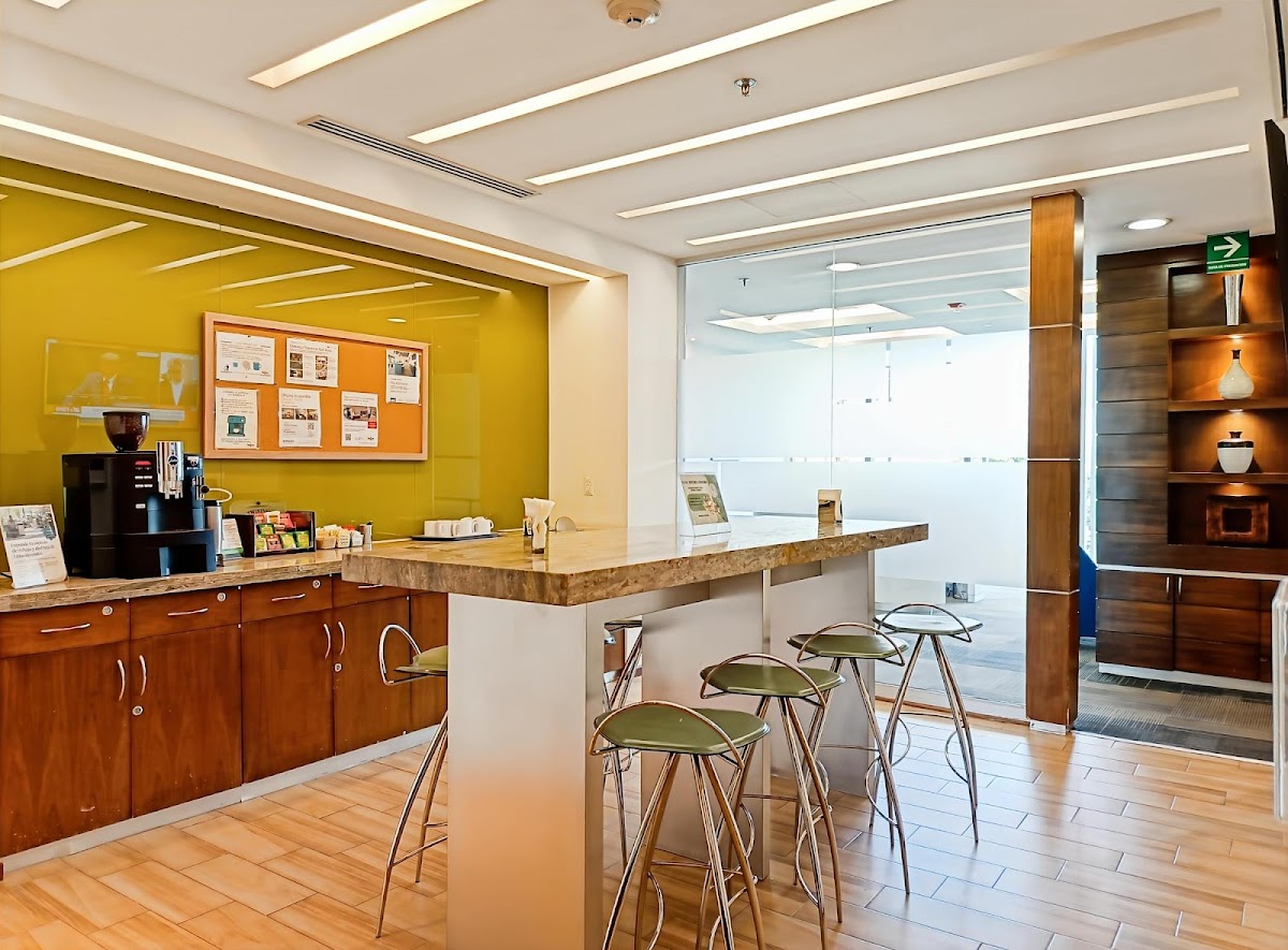 Regus Plaza Leibnitz Anzures gallery 4
