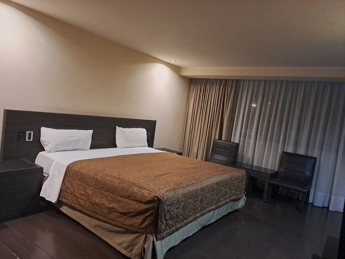 Hotel Amazonas gallery 4