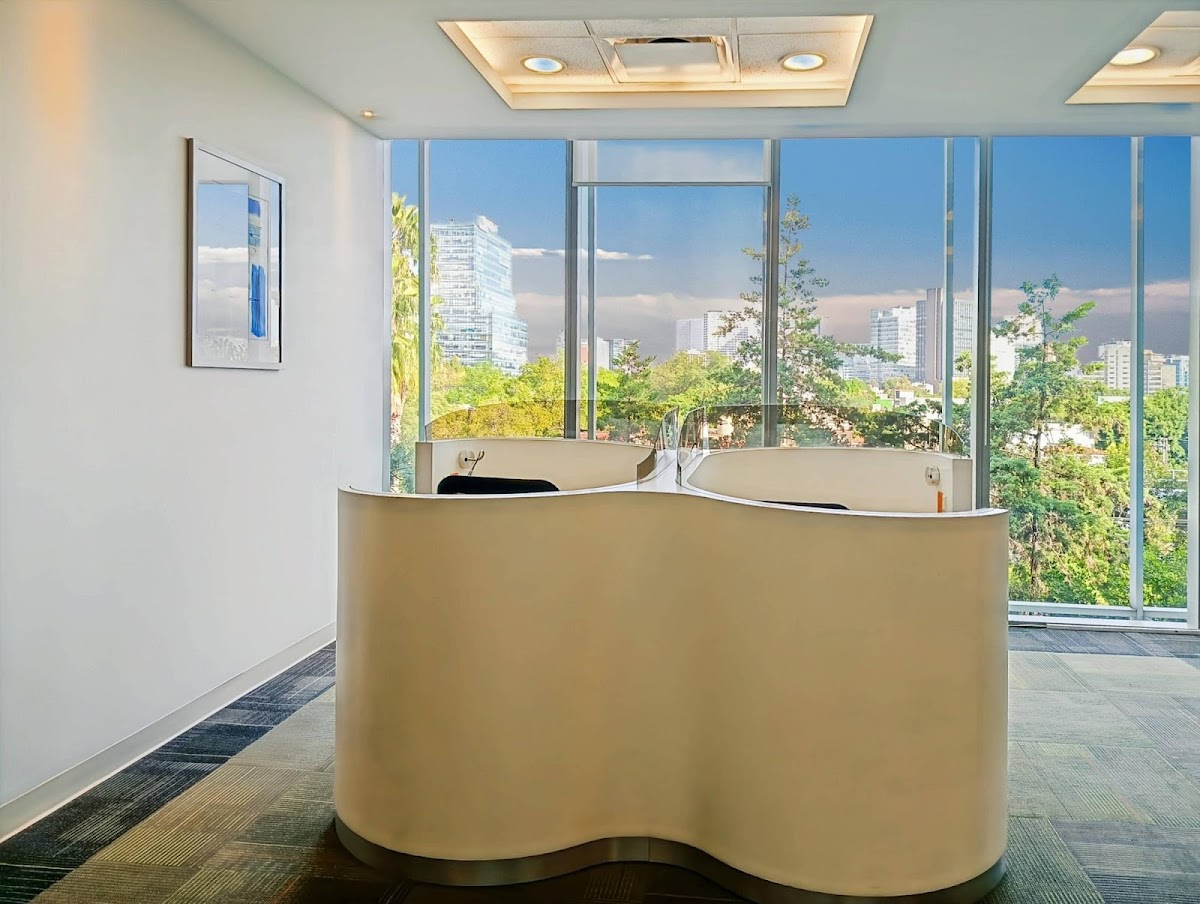 Regus Plaza Leibnitz Anzures gallery 6