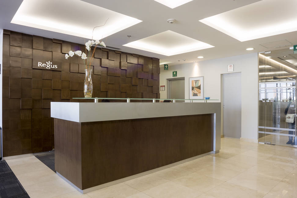 Regus Plaza Leibnitz Anzures gallery 8