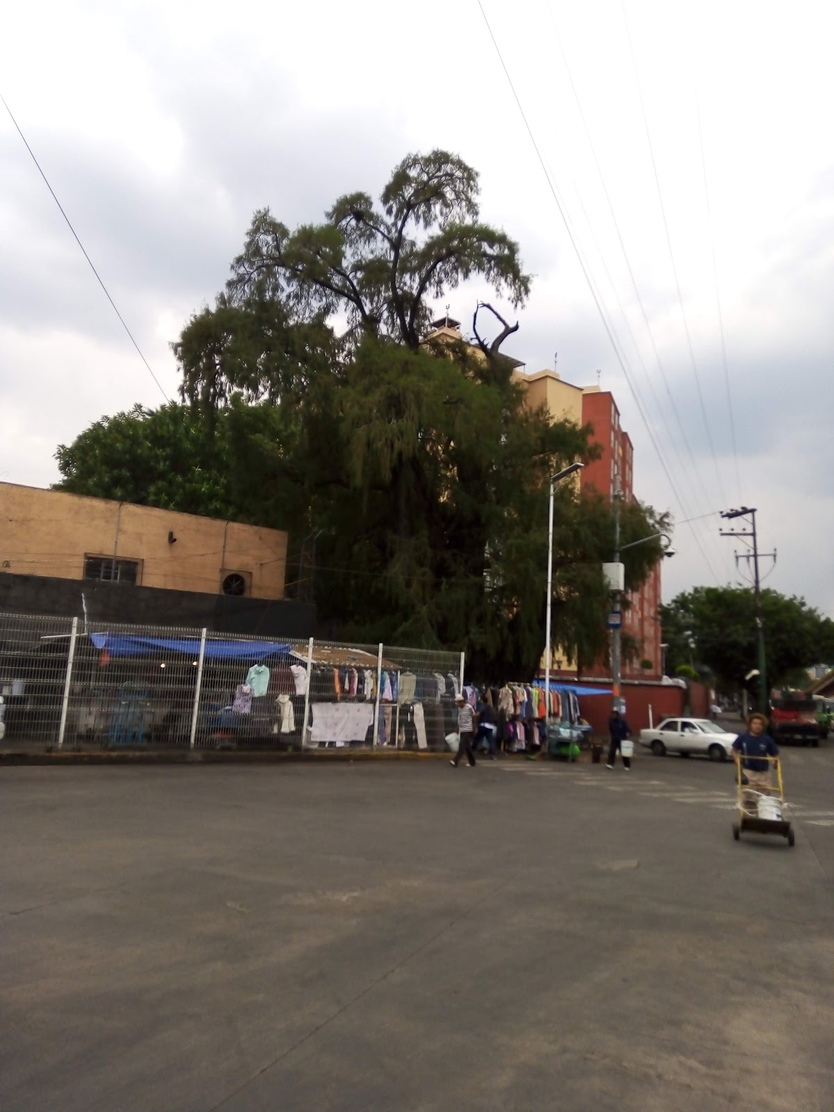 Hotel Tacuba cover