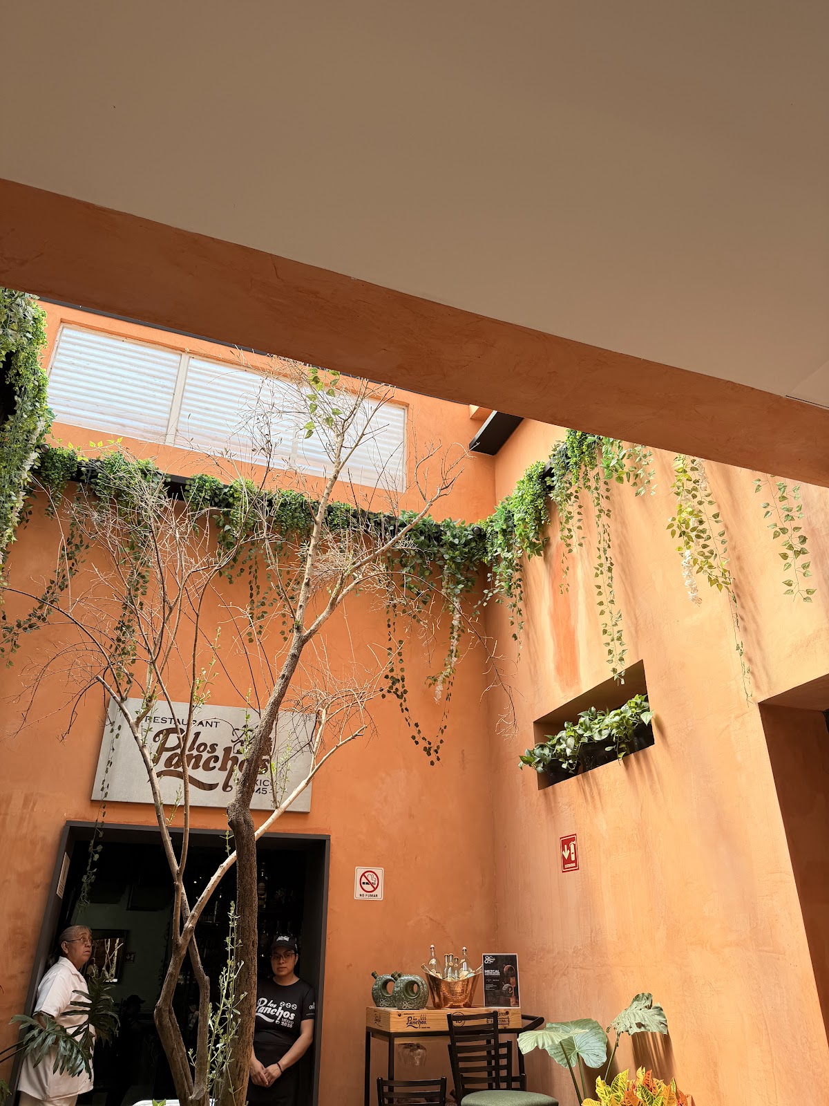 Los Panchos Restaurant gallery 5