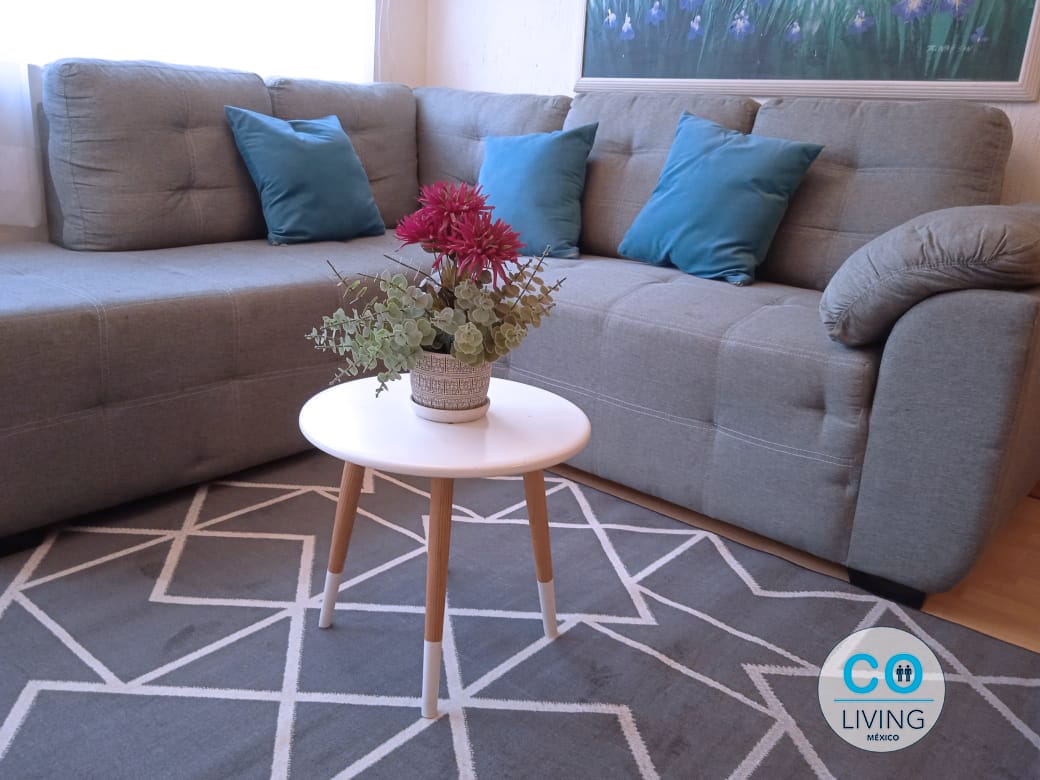 Apartamento Roomys San Rafael gallery 7