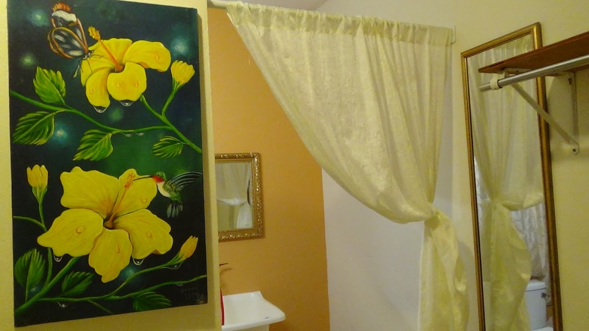 Hacienda Tropical Guest House gallery 7