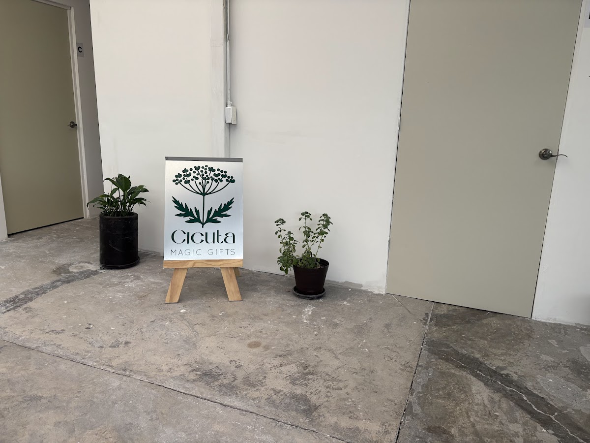 Edificio Colonial gallery 4