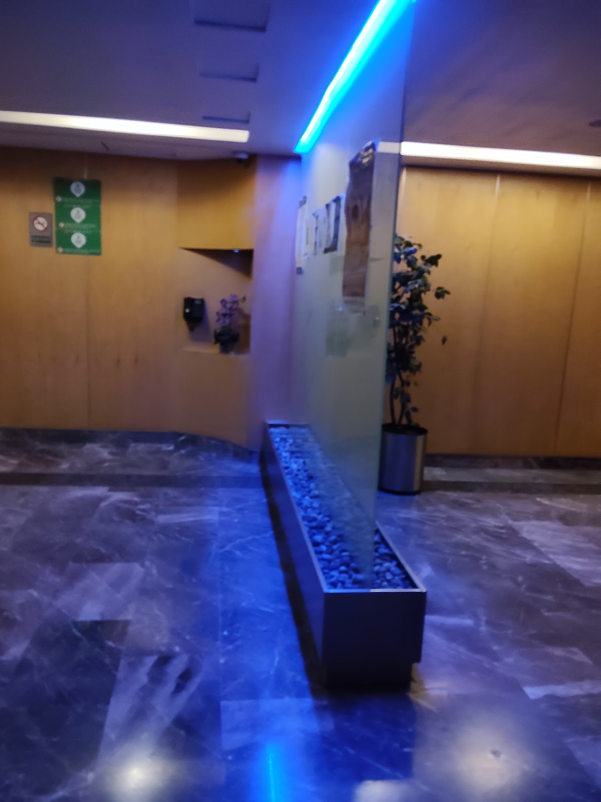 Geneve gallery 3