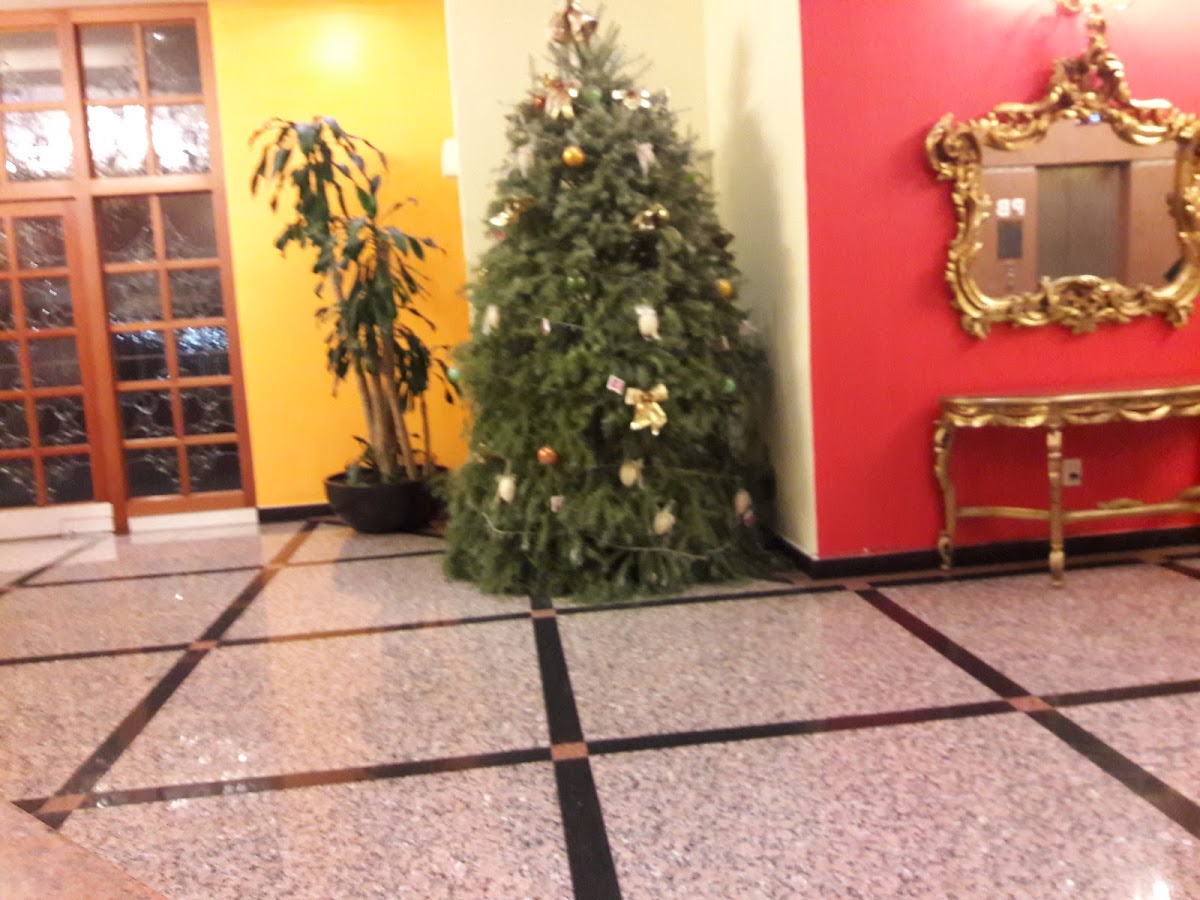 Hotel HOT Plaza Belices gallery 6
