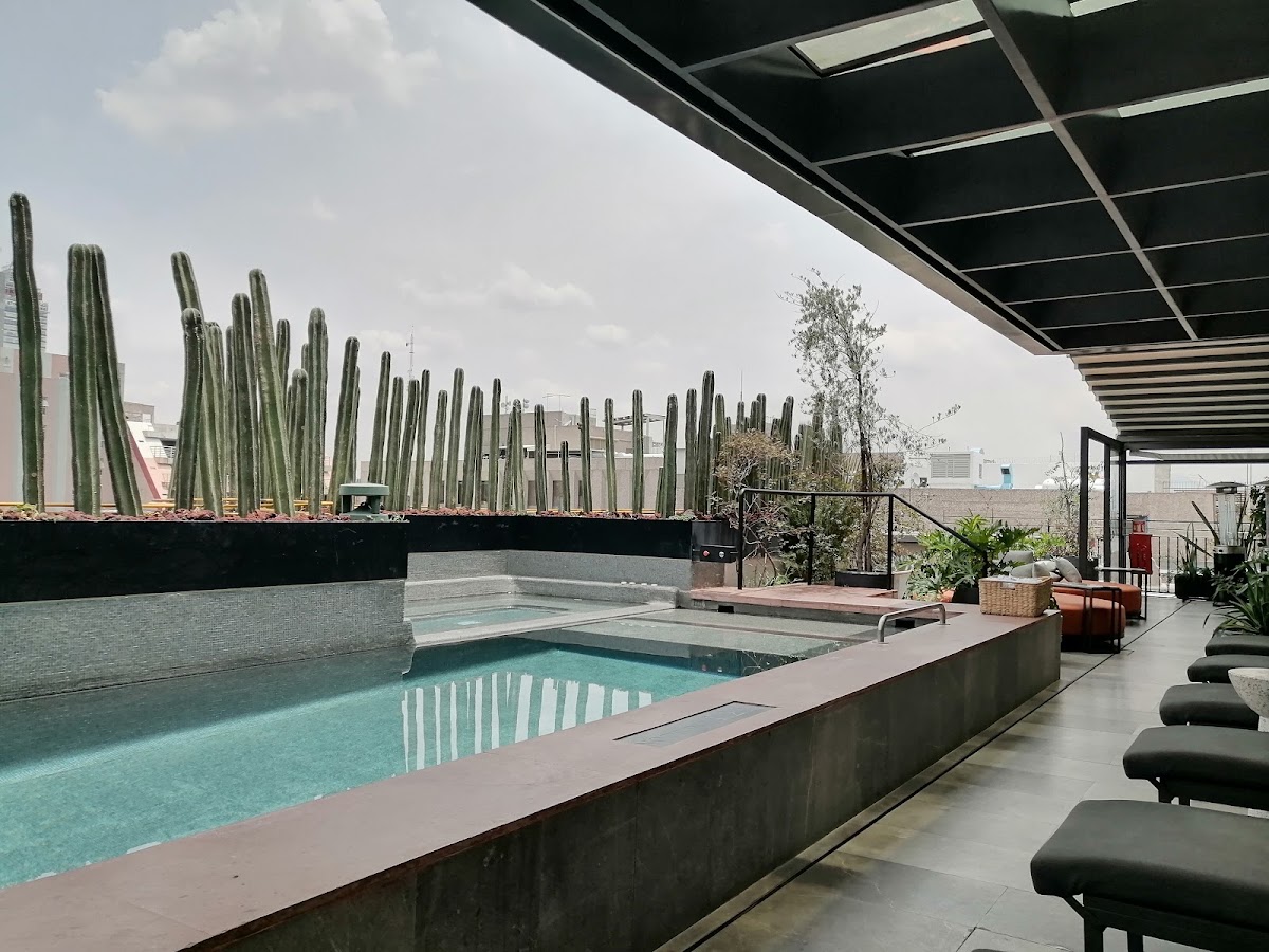 City Centro by Marriott Ciudad De México gallery 3